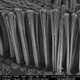 Los pelos de queratina, al microscopio electrónico: Foto: Universidad de Idaho